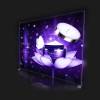 Brightbox XL 300 x 240 cm - 11