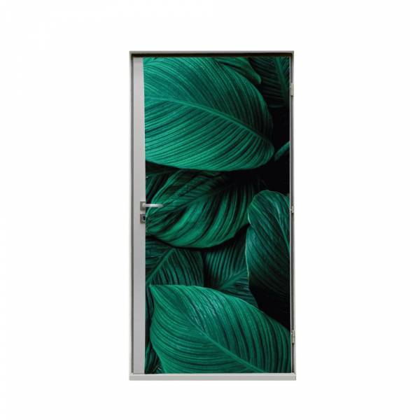 Door Wrap 80 Botanical Leaves