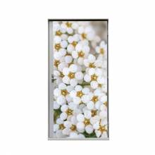 Door Wrap 80 Flower Spirea