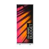 Roll-Banner Budget 100x200cm - 4