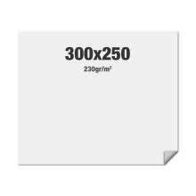 FlexFrame Wand Print 300 x 250 cm