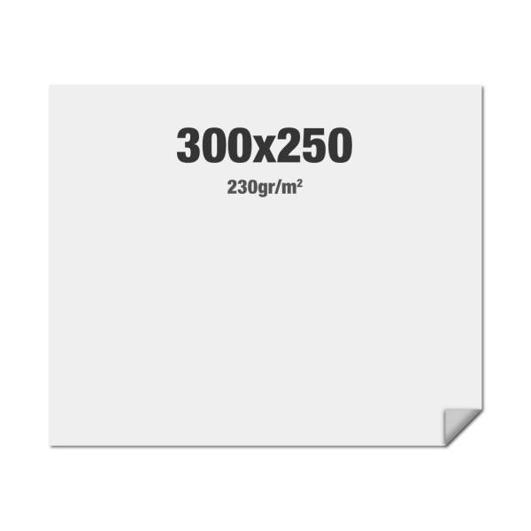 FlexFrame Wand Print 300 x 250 cm