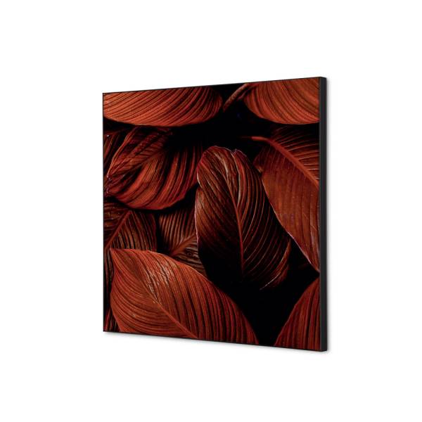 Spannstoff Wanddekoration SET 40 x 40 Botanische Blätter Rot