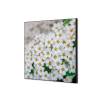 Spannstoff Wanddekoration SET Weiße Blume Spirea - 0