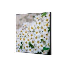 Spannstoff Wanddekoration SET Weiße Blume Spirea