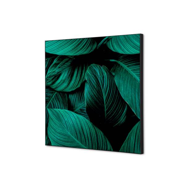 Spannstoff Wanddekoration SET 40 x 40 Botanische Blätter Grün