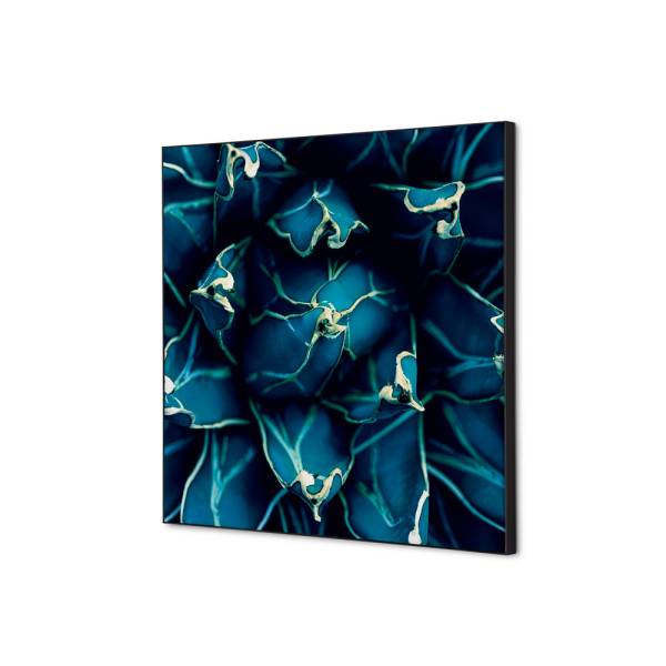 Spannstoff Wanddekoration SET 40 x 40 Kaktus Blau