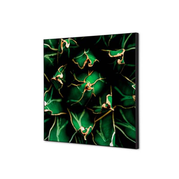 Spannstoff Wanddekoration SET 40 x 40 Kaktus Grün