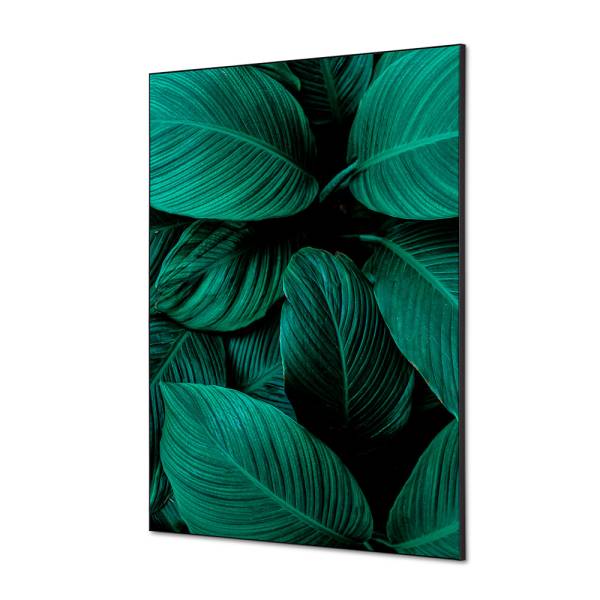 Spannstoff Wanddekoration SET A1 Botanische Blätter Grün