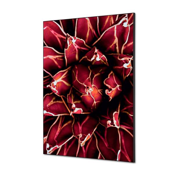 Spannstoff Wanddekoration SET A1 Kaktus Rot