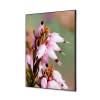 Spannstoff Wanddekoration SET 40 x 40 Pinke Blume Erica - 1