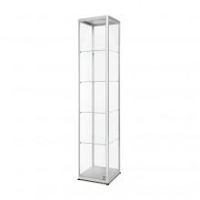 Glasvitrine silber - Quadratisch